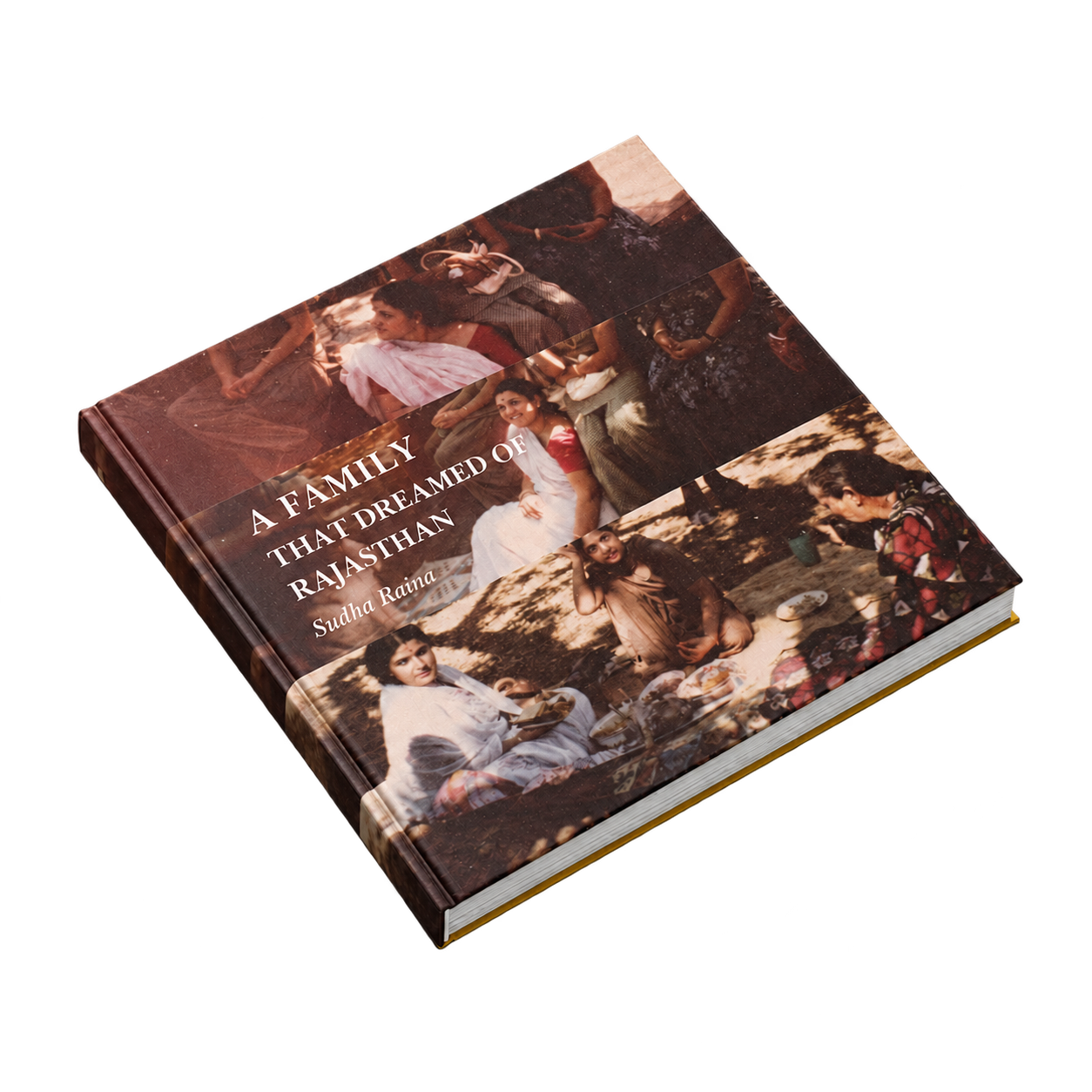 A FAMILY THAT DREAMED OF RAJASTHAN book